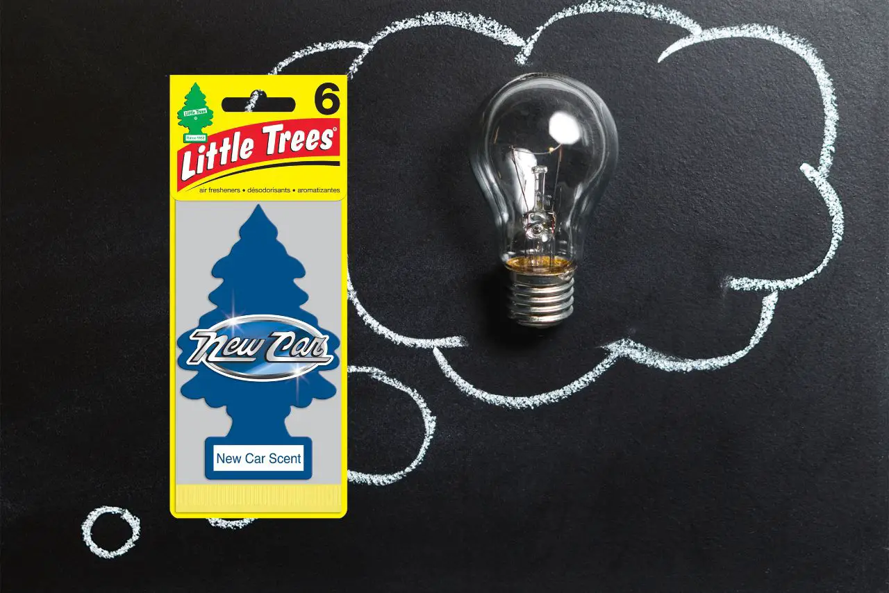 How Long Do Little Trees Last? (Exact Lifespan REVEALED!) » Drive Away with  AutomotiveFox!
