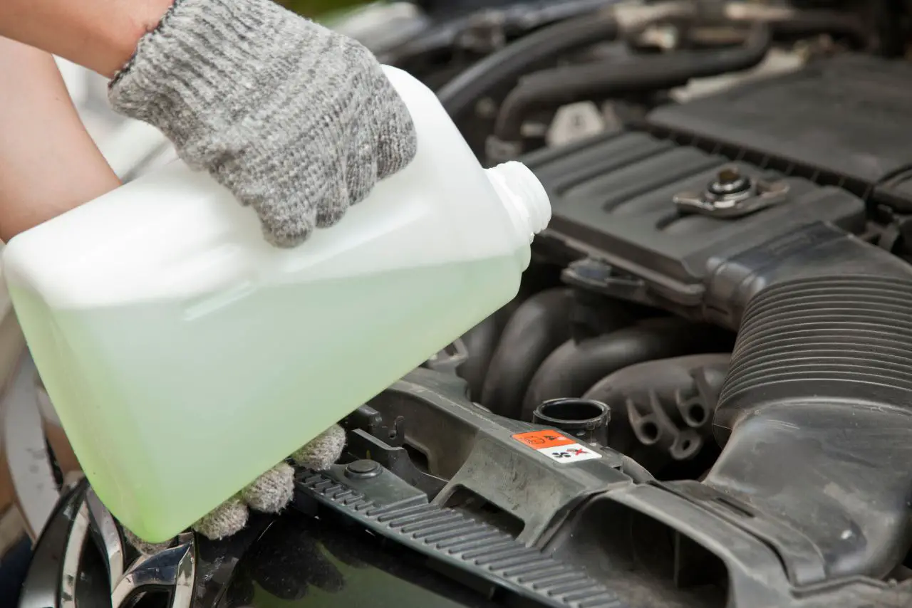Accidentally Put Concentrated Coolant: (Here’s What To Do!)